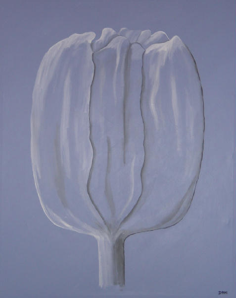 Tulpe blau