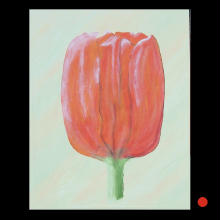 Tulpe rot